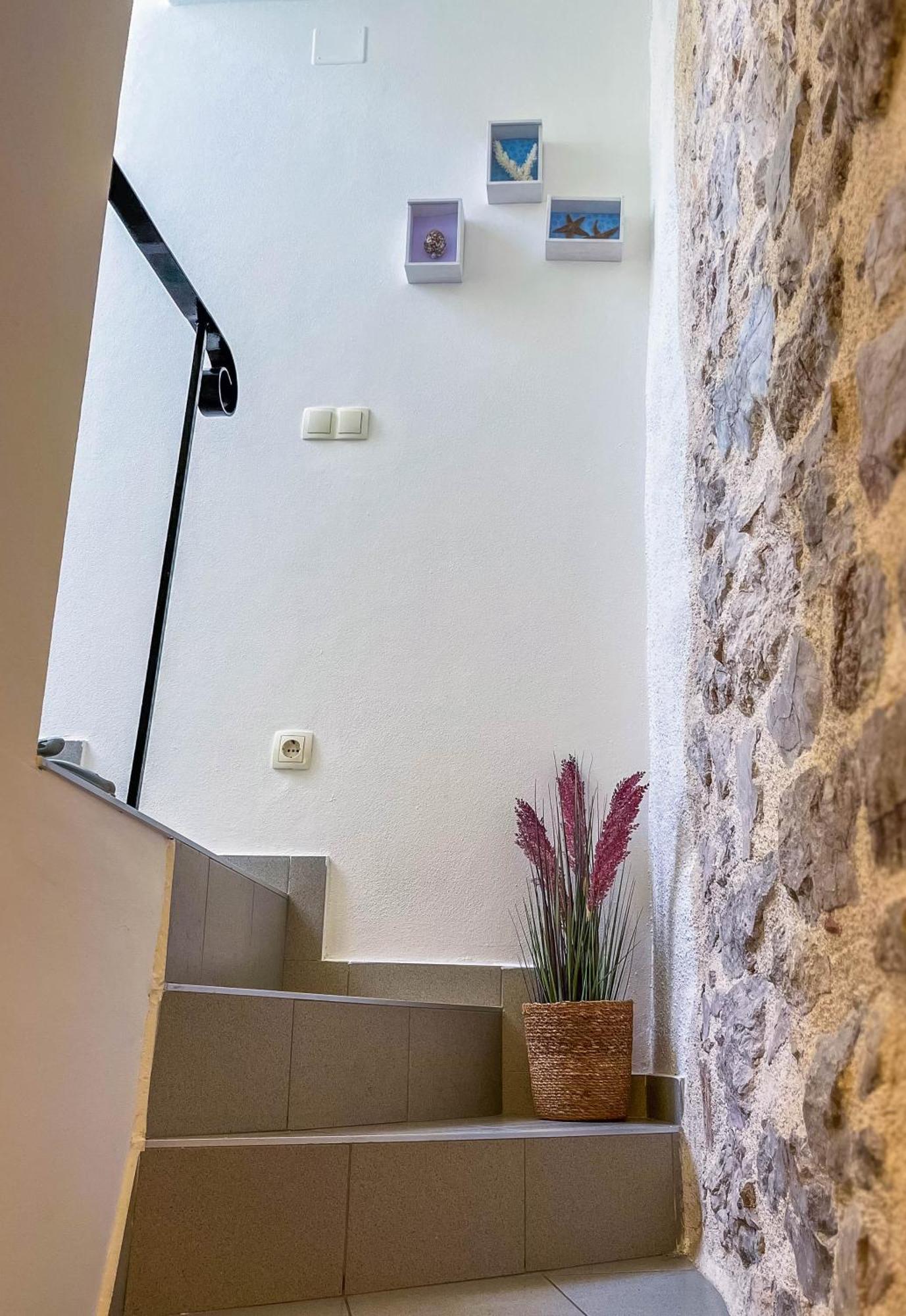 Lavanda Tribalj Esterno foto