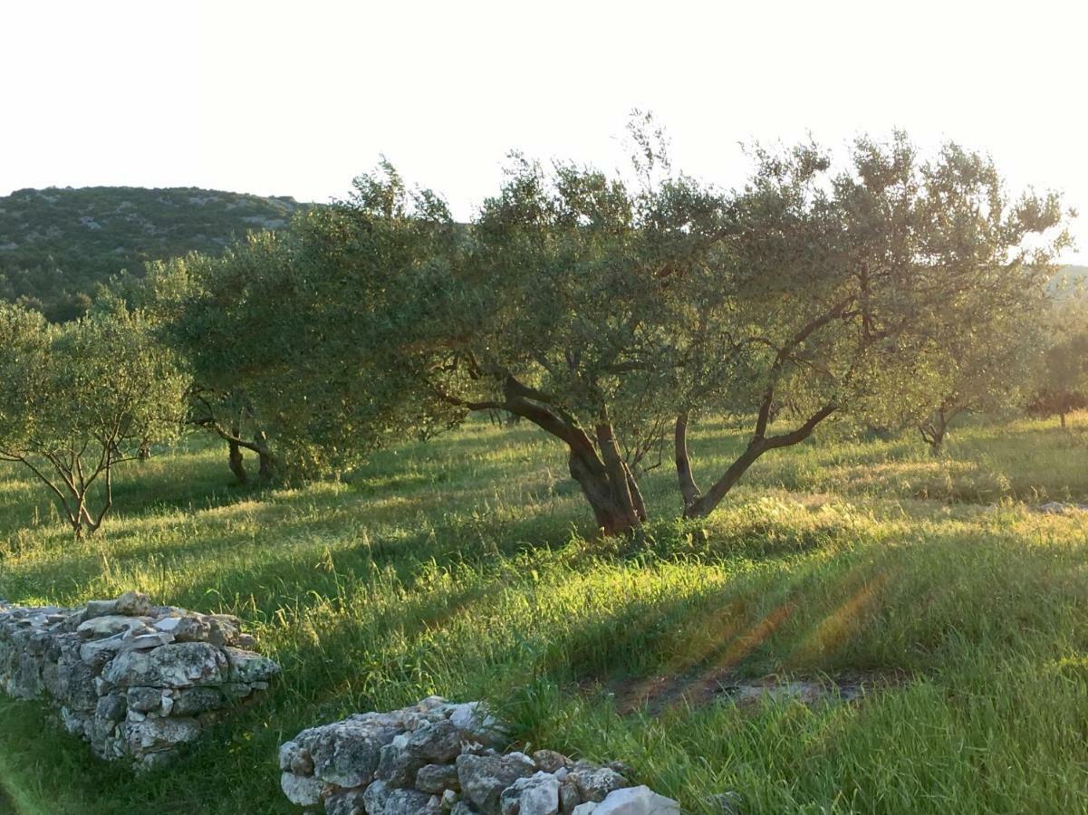 Lavanda Tribalj Esterno foto